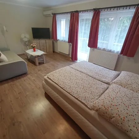 Magdalena Apartmanhaz 아파트 *